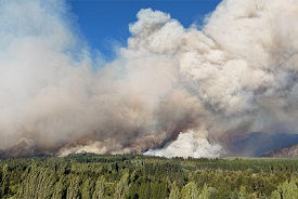 Incendios forestales en la Patagonia: el fuego no cesa y ya quemó más de 36.600 hectáreas
